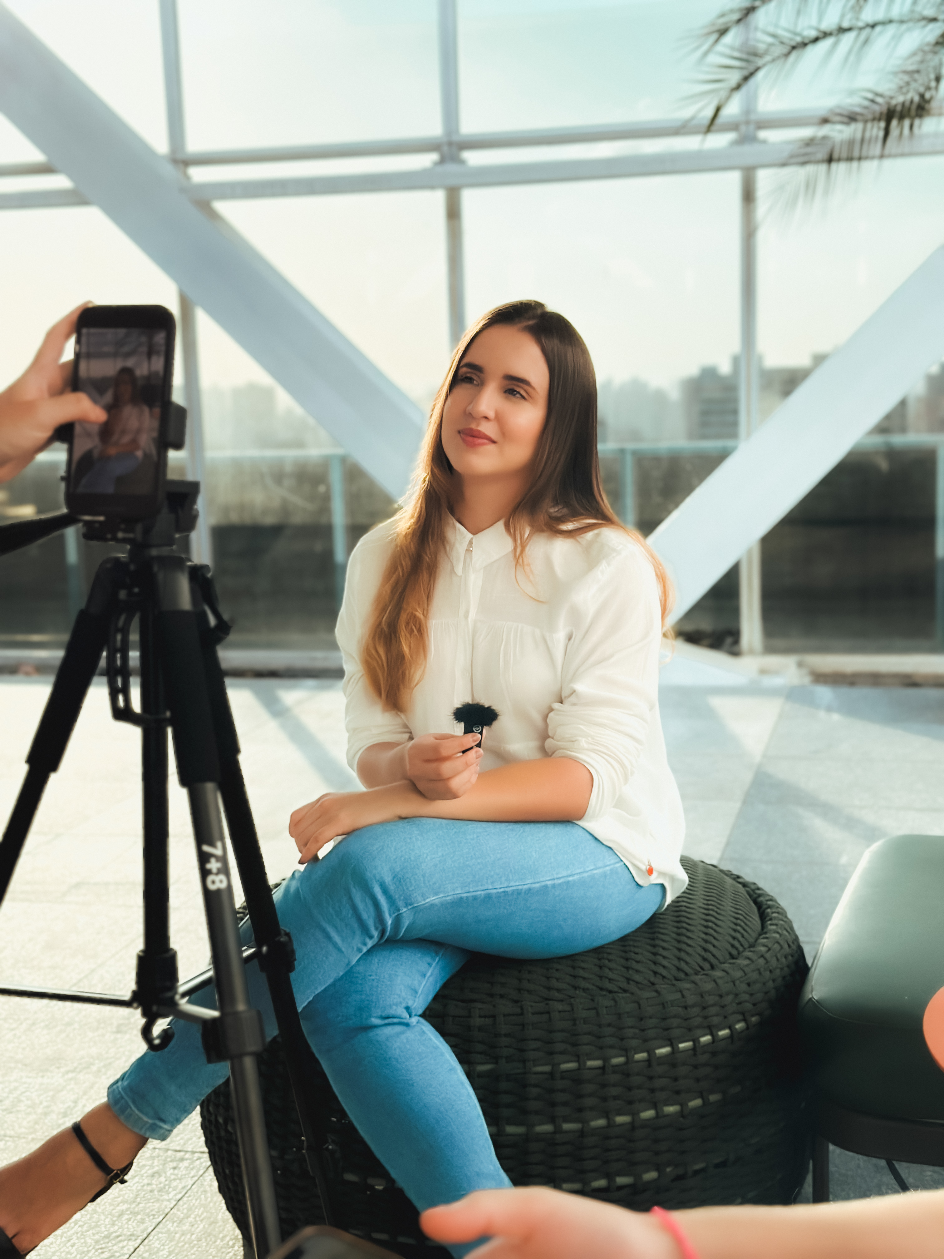 Clínica Harrisia — editorial Celina Frota